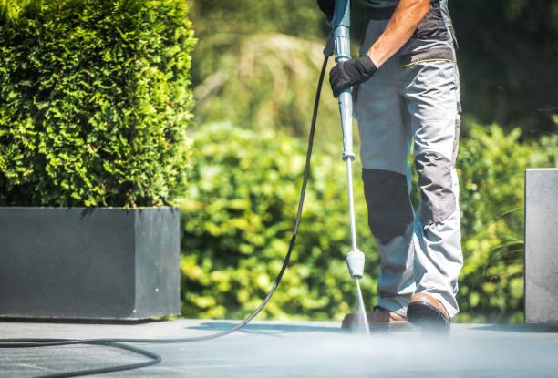 Best Patio and Deck Pressure Washing  in Ridgewood, NJ