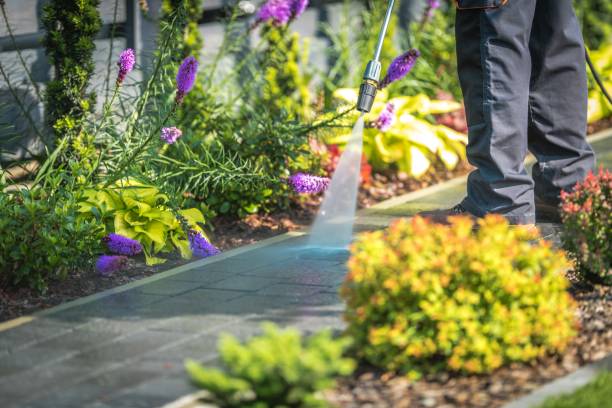  Ridgewood, NJ Pressure Washing Pros